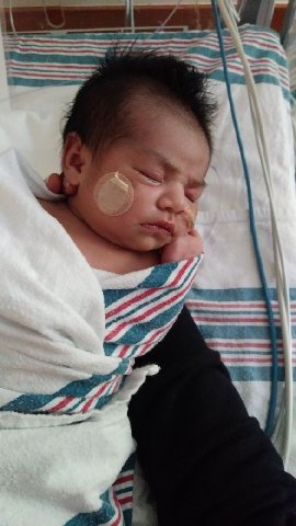 Baby Evelyn Trejo